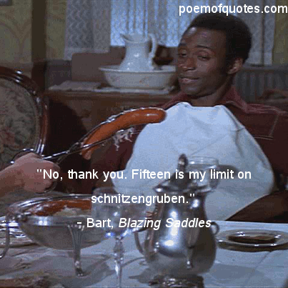 A quote from Blazing Saddles.